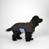 Nora Hundefrakke, Espresso/Sky Blue – Staey