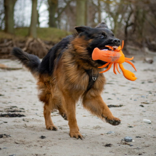 Humør Hummeren - Den perfekte aktiveringsbamse