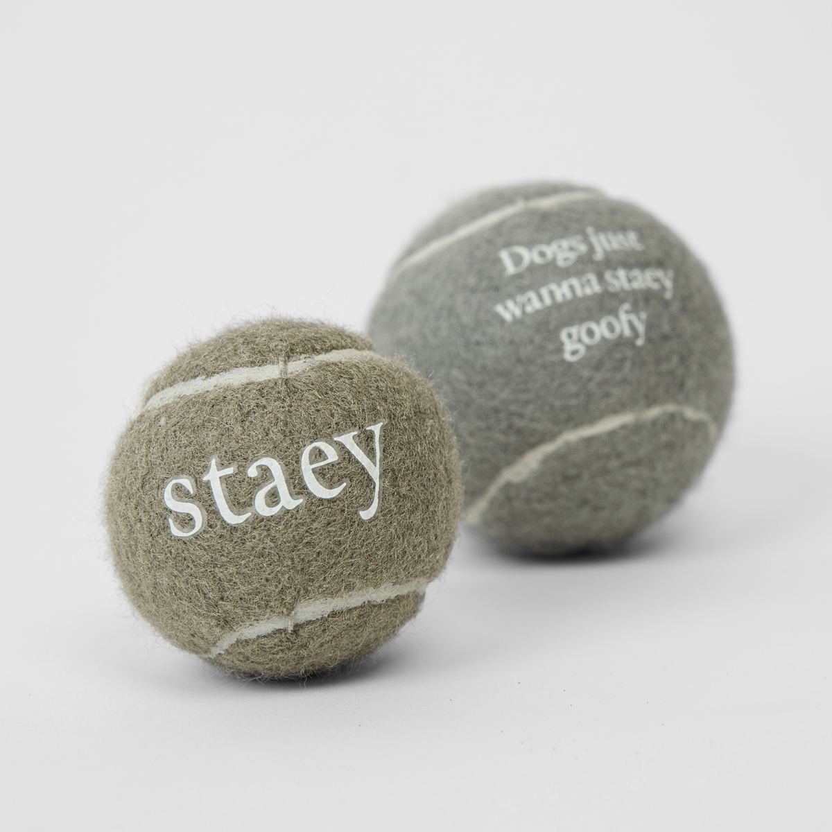 Staey