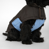 Nora Hundefrakke, Espresso/Sky Blue – Staey