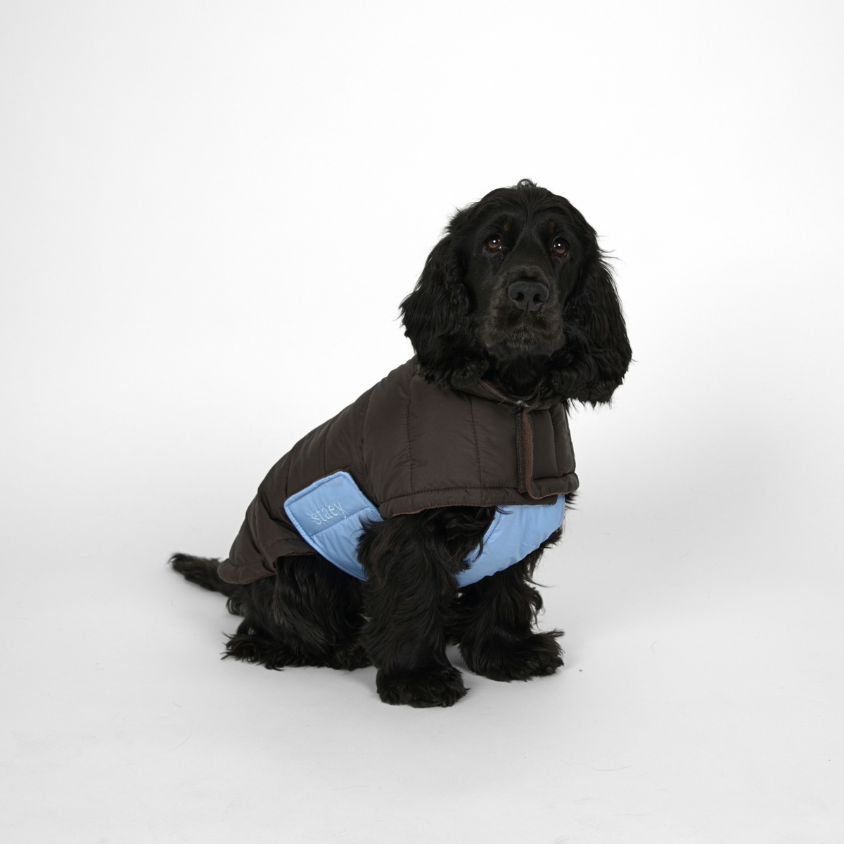 Nora Hundefrakke, Espresso/Sky Blue – Staey