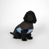 Nora Hundefrakke, Espresso/Sky Blue – Staey