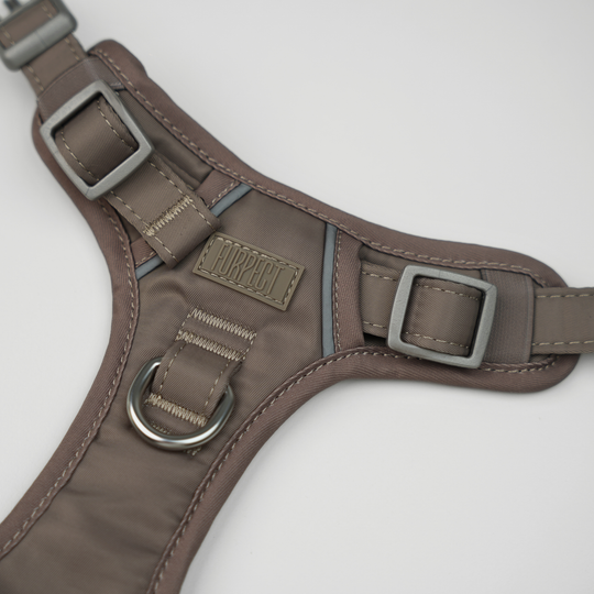 Furpect - Core H-Hundesele, Latte