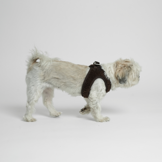 Staey - Teddy Step-in Hundesele, Espresso