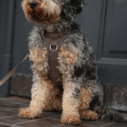 Staey - Elma Active Hundesele, Taupe