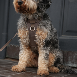 Staey - Elma Active Hundesele, Taupe