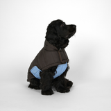 Nora Hundefrakke, Espresso/Sky Blue – Staey