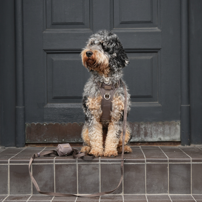 Staey - Elma Active Hundesele, Taupe