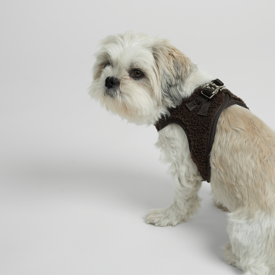 Staey - Teddy Step-in Hundesele, Espresso