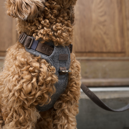 Staey - Elma Hundesele, Stone