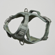 Furpect - Core H-Hundesele, Sage