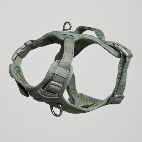 Furpect - Core H-Hundesele, Sage