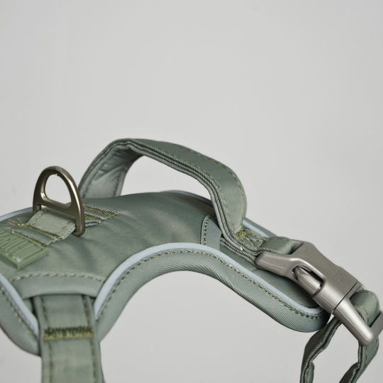 Furpect - Core H-Hundesele, Sage