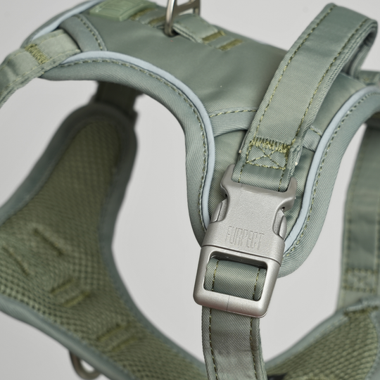 Furpect - Core H-Hundesele, Sage