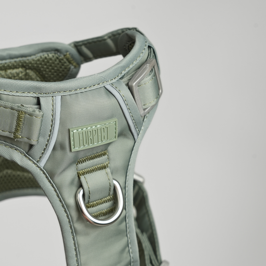 Furpect - Core H-Hundesele, Sage