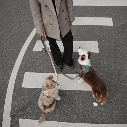 Staey - Elma Hundesele, Dusty Blue