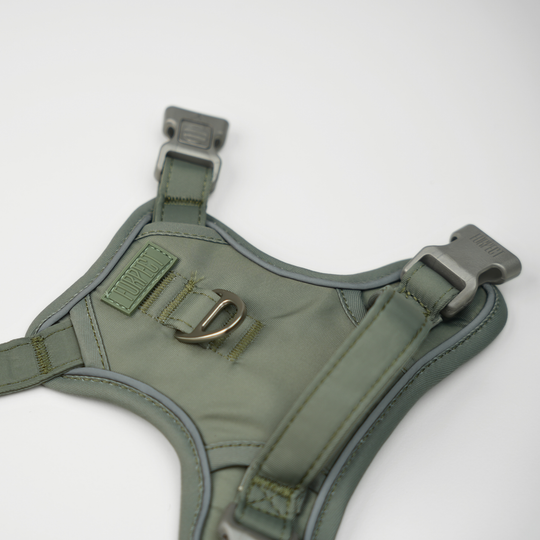 Furpect - Core H-Hundesele, Sage