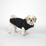 Vera Hundejakke m. sele, Charcoal – Staey