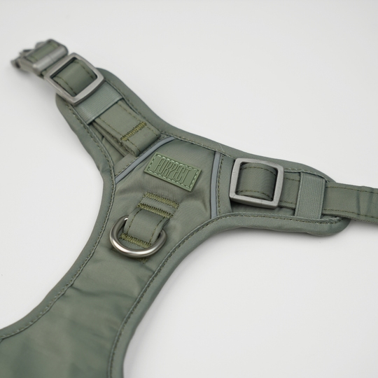 Furpect - Core H-Hundesele, Sage