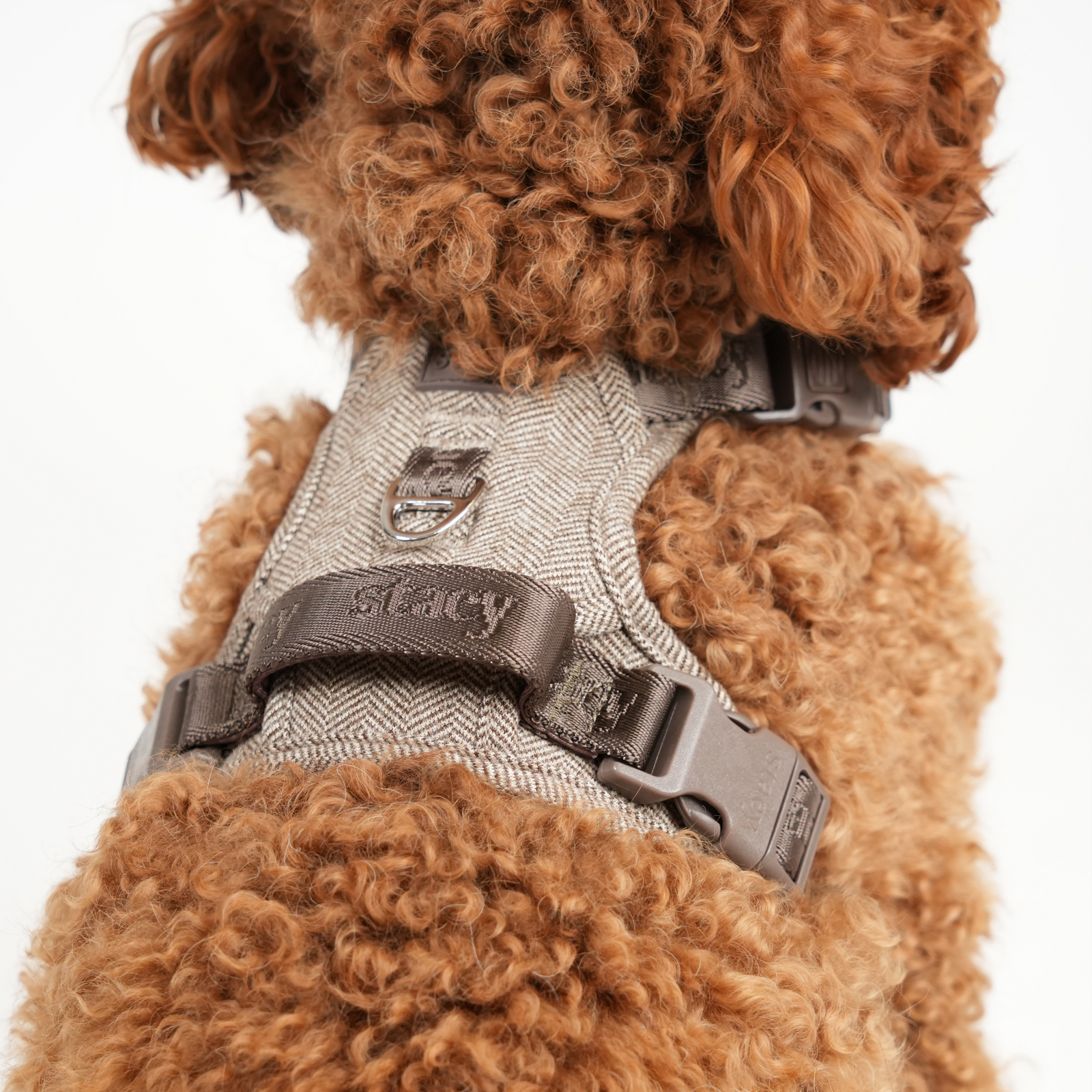 Staey – Elma Hundesele