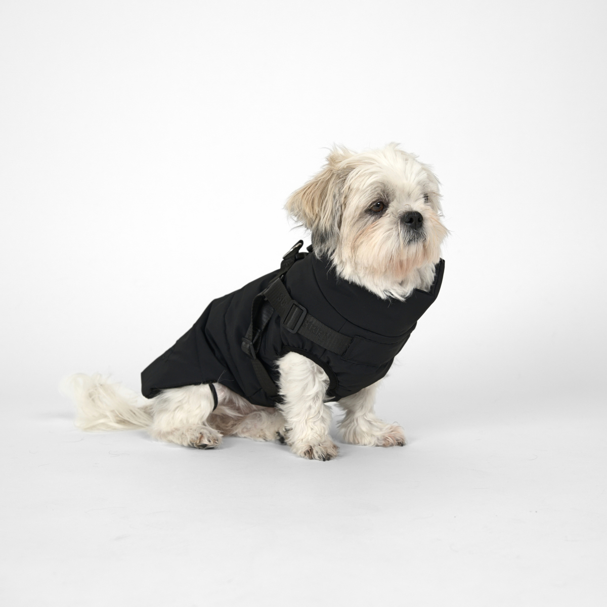 Vera Hundejakke m. sele, Charcoal – Staey
