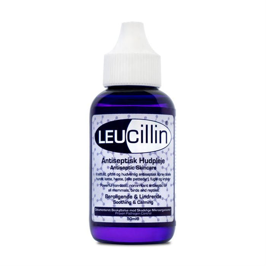 Leucillin Dropper, 50 ML