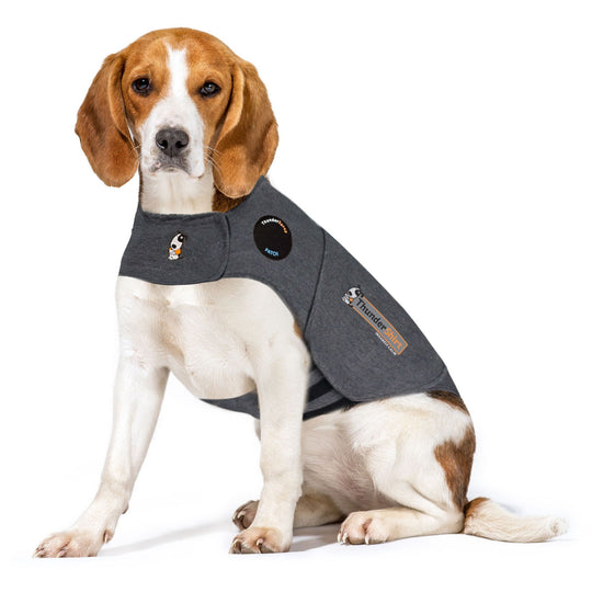 ThunderShirt - Tryghedsskabende jakke
