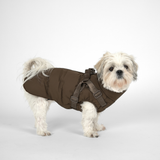 Vera Hundejakke m. sele, Chestnut – Staey