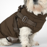 Vera Hundejakke m. sele, Chestnut – Staey