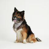 Staey - ST Bandana, Natur