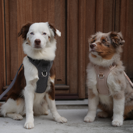 Staey - Elma Hundesele, Dusty Blue