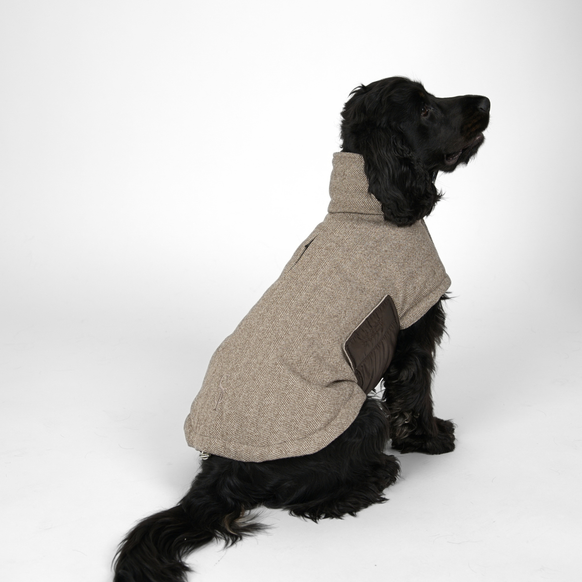 Herringbone Hundefrakke, Mocca – Staey