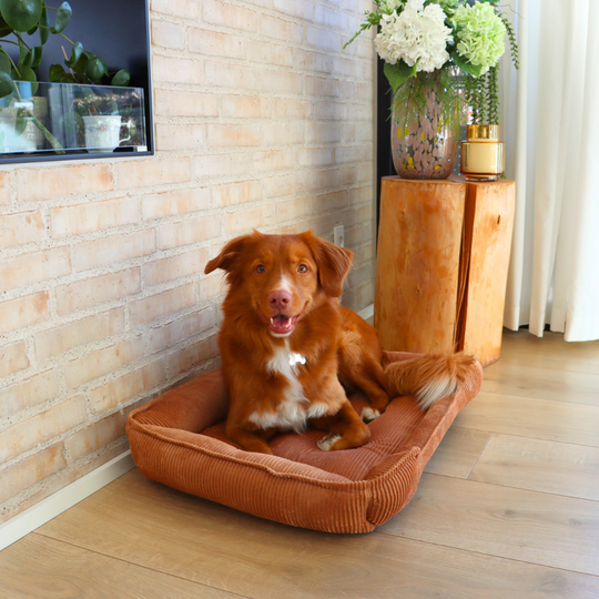 Fløjl Hundeseng - Cognac (2. sortering)
