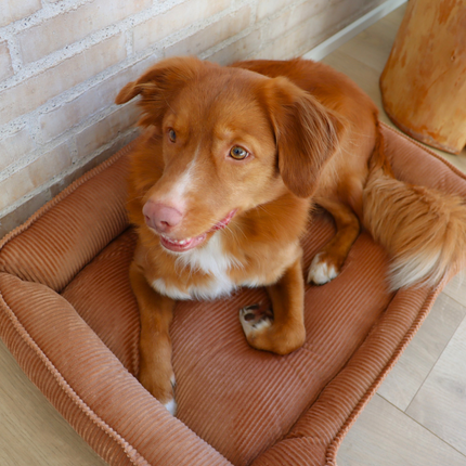 Fløjl Hundeseng - Cognac (2. sortering)