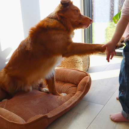 Fløjl Hundeseng - Cognac (2. sortering)