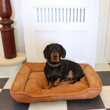 Fløjl Hundeseng - Cognac (2. sortering)