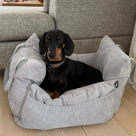 3-i-1 Bilsæde til hunde i fløjl