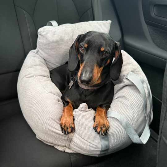 3-i-1 Bilsæde til hunde i fløjl