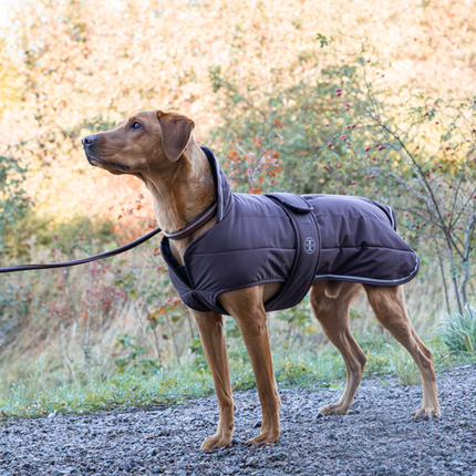 Jacson Sonja Vinterjakke, brun