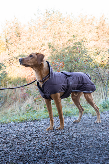 Jacson Sonja Vinterjakke, brun
