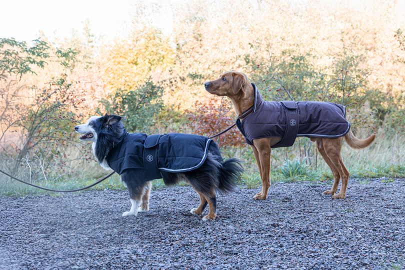 Jacson Sonja Vinterjakke, brun