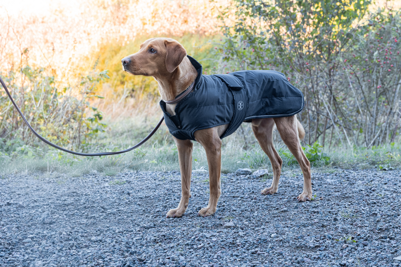 Jacson Sonja Vinterjakke, sort