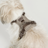 Staey - Elma Hundesele, Sand