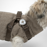 Lumi Safety Light Pro, Taupe – Staey
