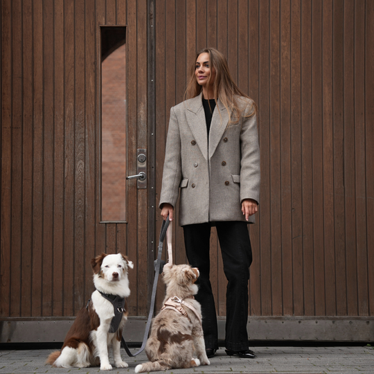 Staey - Elma Hundesele, Light Rose