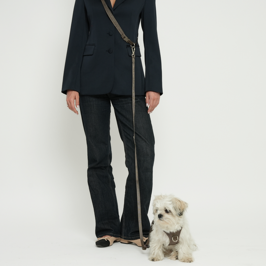 Staey - Håndfri Hundesnor, Taupe