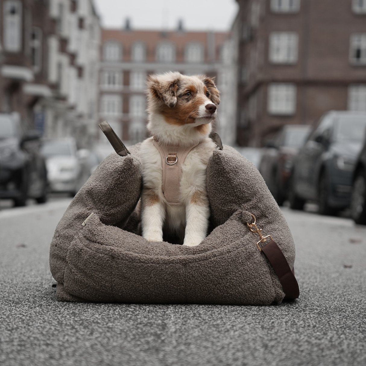 Staey - Lara 3-i-1 Bilsæde, Teddy 2.0