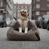 Staey - Lara 3-i-1 Bilsæde, Teddy 2.0
