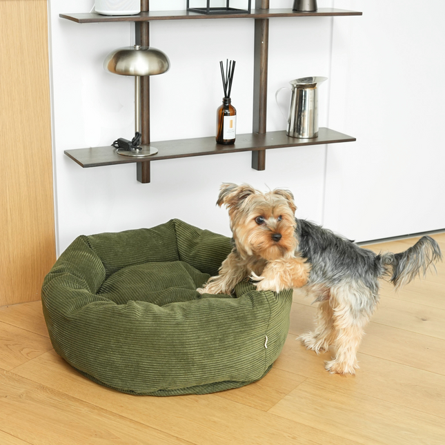 Staey - Luna 3.0 Hundeseng, Moss Green Fløjl