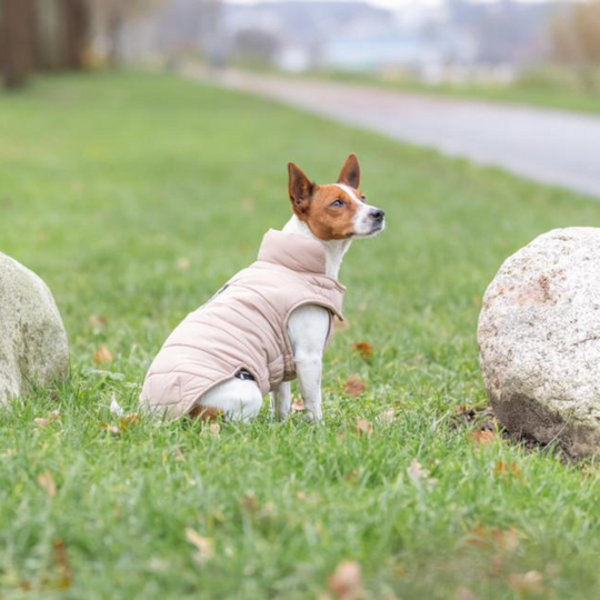 Trixie - Vinterfrakke, Beige